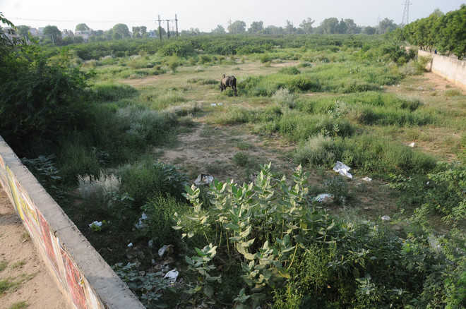 Army says no to AC bus stand at Bathinda