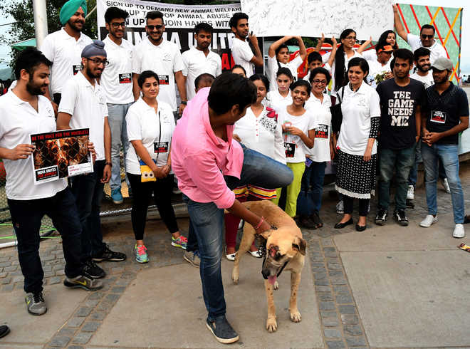 People bat for animal rights