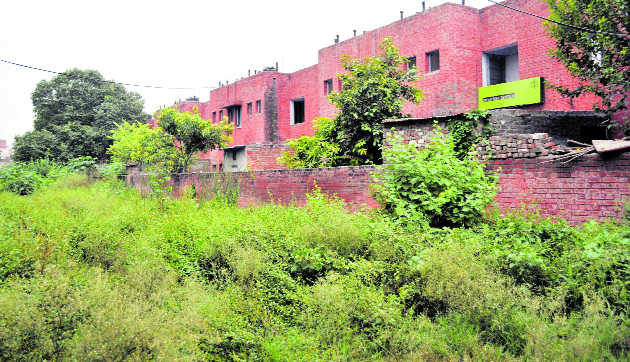 Growth of weeds around quarters of ESI Hospital irks residents