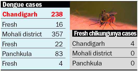 Another dengue death in Mohali dist, tricity toll 14