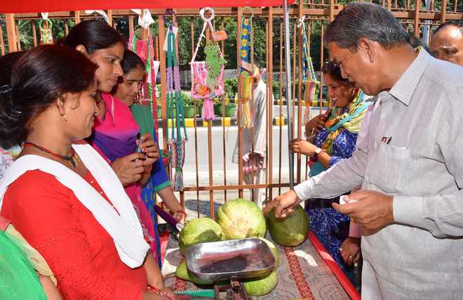 Women self-help groups vital for rural economy growth: CM