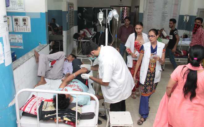 Dengue cases reach 197, chikungunya 8 in district