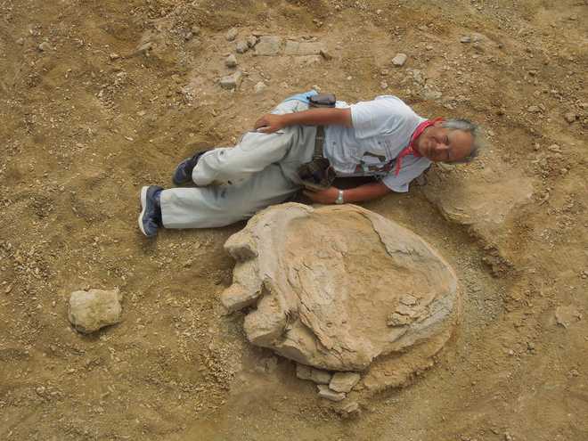 Giant dinosaur footprint discovered in Mongolia desert