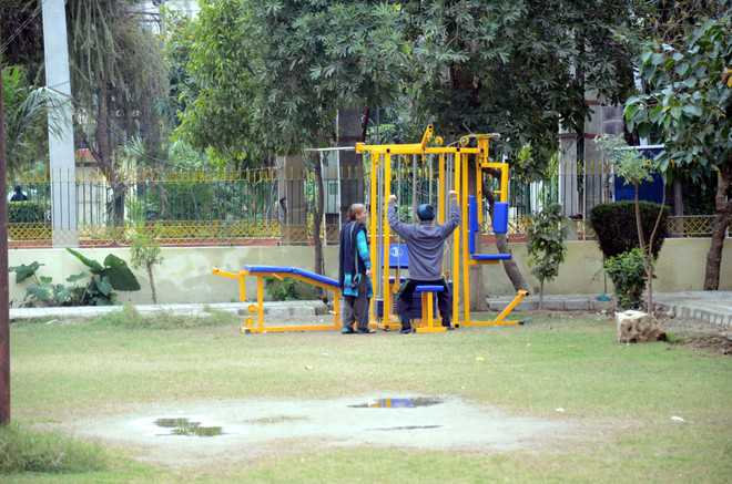 AAP cries foul over open-air gym at public park