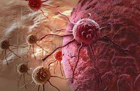 Drug that ''melts'' cancer cells approved for human use