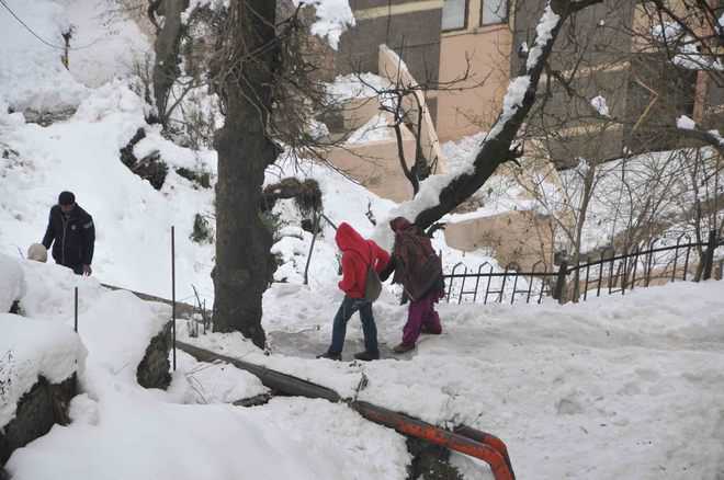 Snow turns fatal for kidney patient in Shimla