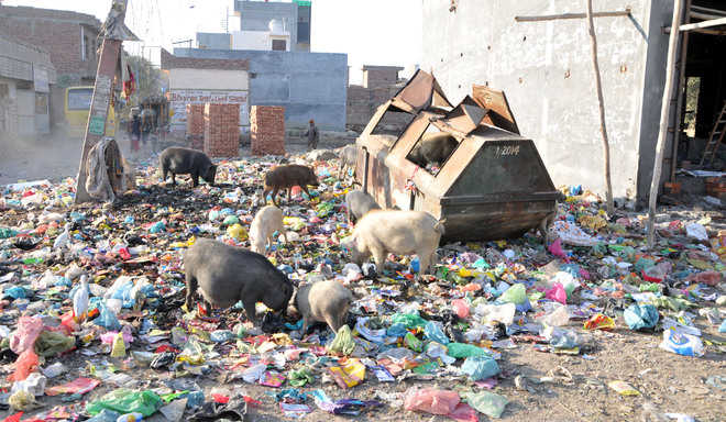 Civic issues trouble residents of Kot Khalsa