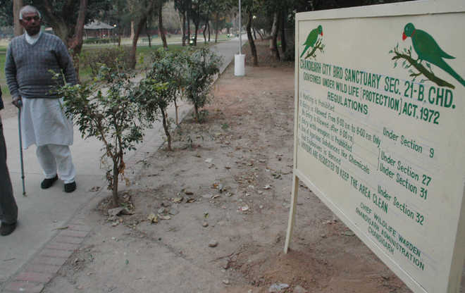 Sec 21 bird sanctuary is eco-sensitive zone