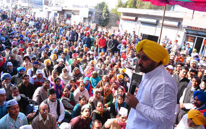 Mann remains a crowd-puller for AAP - The Tribune