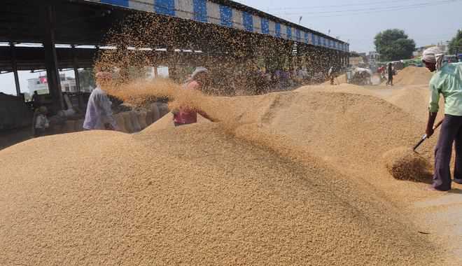 Select paddy varieties fall below MSP