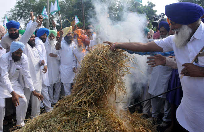 Farmers burning straw won’t get subsidy: Govt