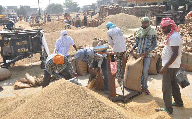 Paddy procurement begins at 28 mandis of district