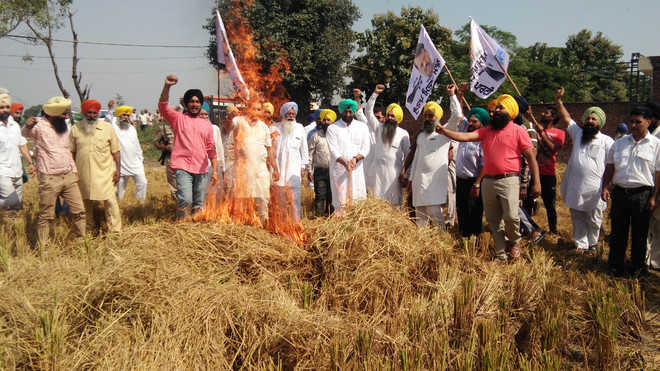 AAP leaders protest cases against farmers