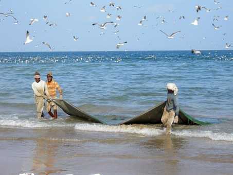 Eight Indian fishermen apprehended by Sri Lankan Navy