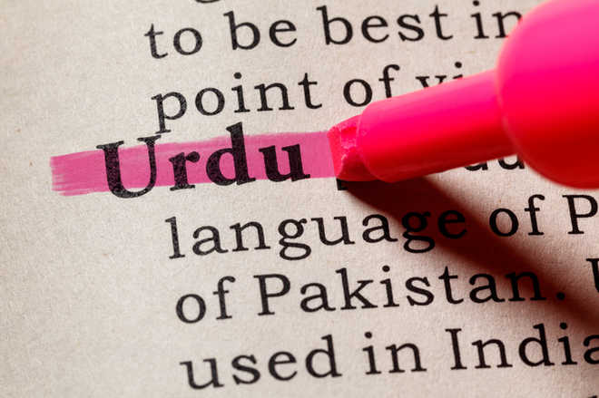 Embrace Urdu once more