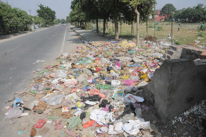 Despite tall MC claims, heaps of garbage present in city areas