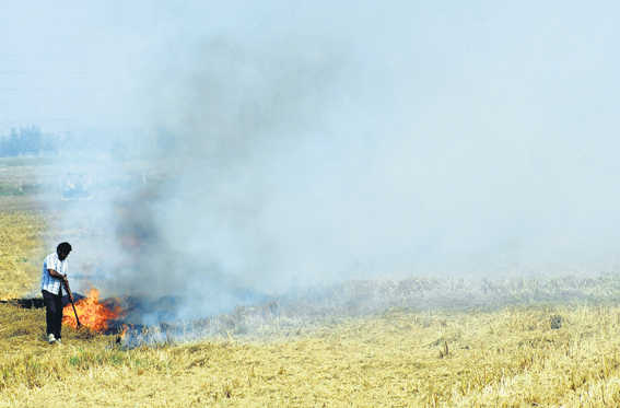 A solution to crop residue burning