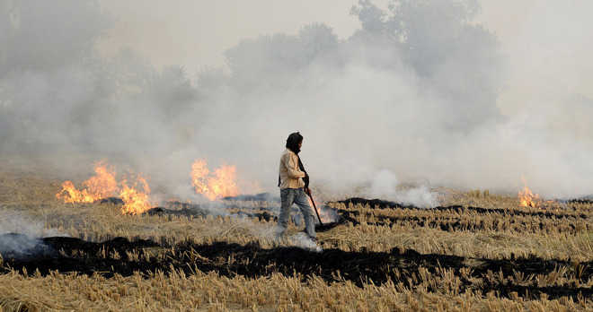 PPCB red-flags drop in air quality : The Tribune India