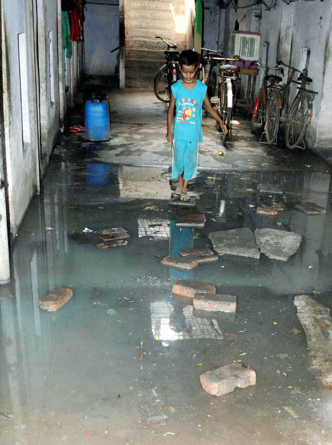 Constant threat of epidemic scares deep colony residents the tribune