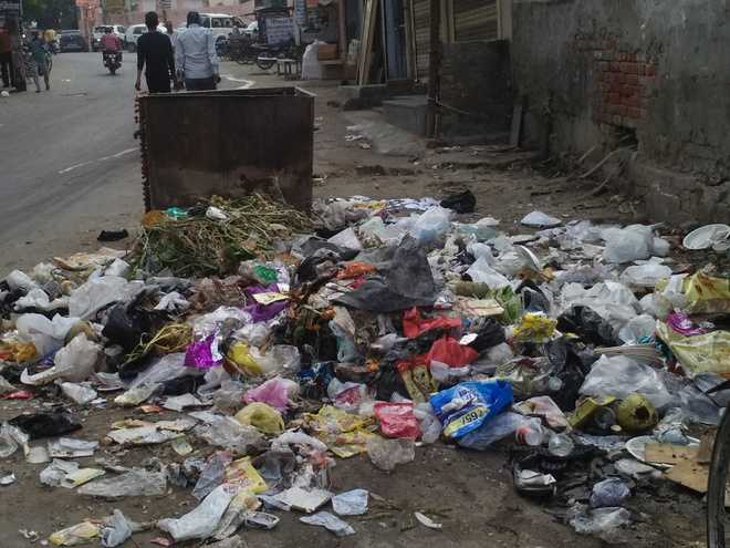 Insanitary conditions in Kaithal localities