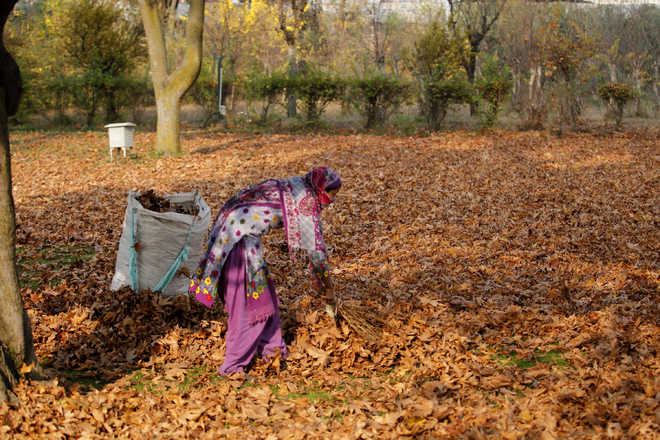 Leaf burning adding to pollution woes in Valley