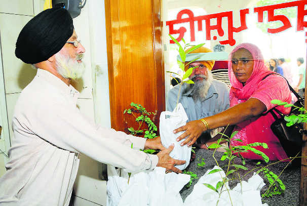 ‘Buta parshad’ takes root at Golden Temple