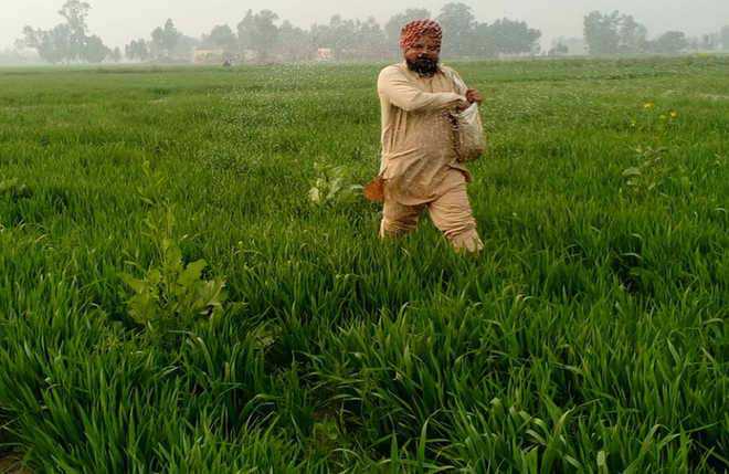 Fertiliser DBT in Punjab and Haryana next