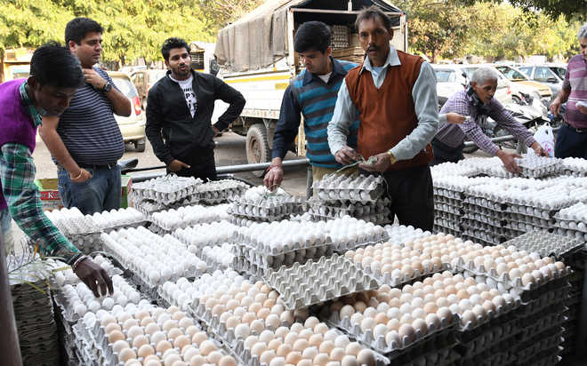 Egg prices hit the roof