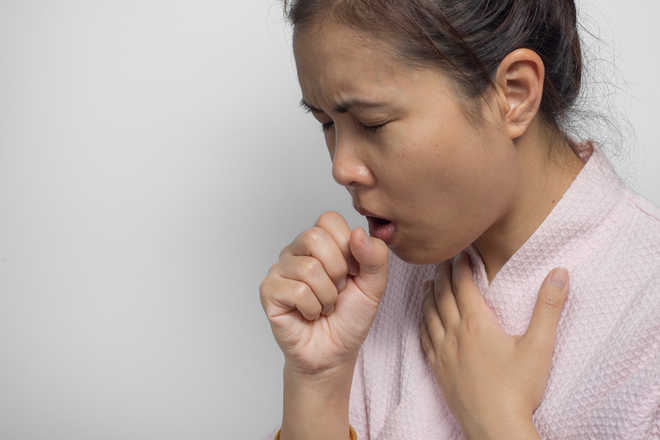 Popular antacid may help fight tuberculosis: Study