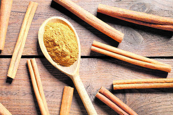 Cinnamon may help fight obesity: study