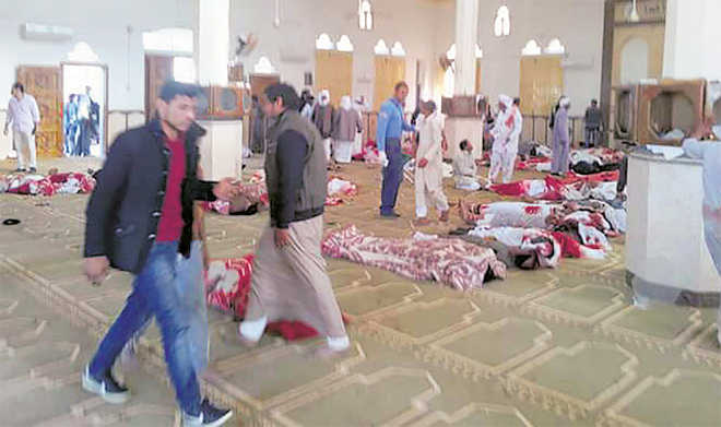 235 worshippers die in Egypt terror strike