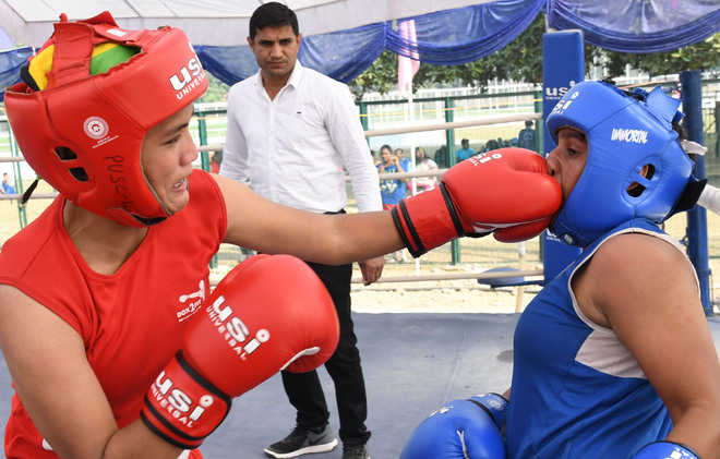 Incredible journey of boxer Pooja Rani
