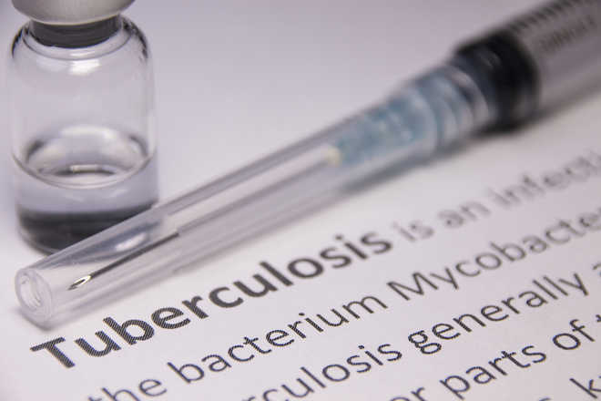 ''Effective tuberculosis vaccine in the offing''