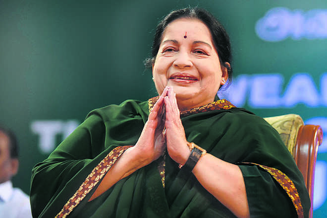 A year without Amma
