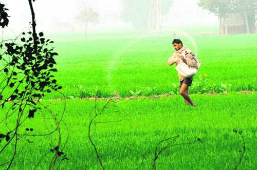 In 15 years, 6 districts saw 14,000 farm suicides: Study