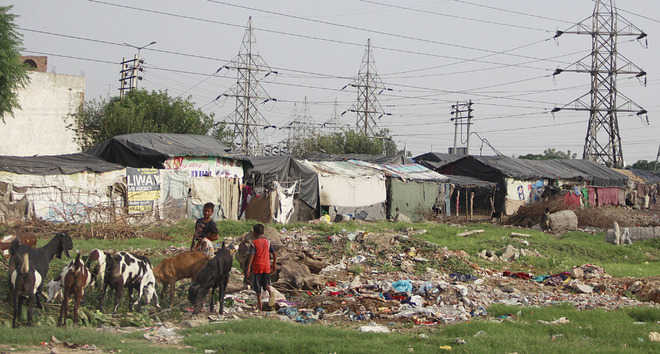 Residents fume over poor sanitation in Ward No. 17
