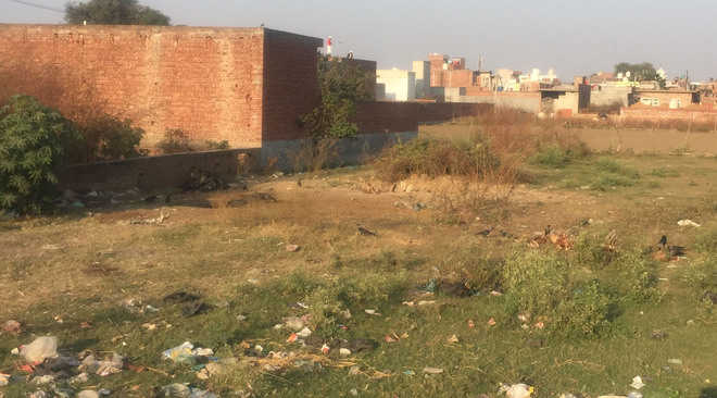 Carcasses in vacant plot rile residents