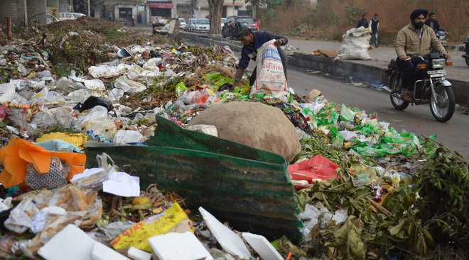 City reels under garbage stink
