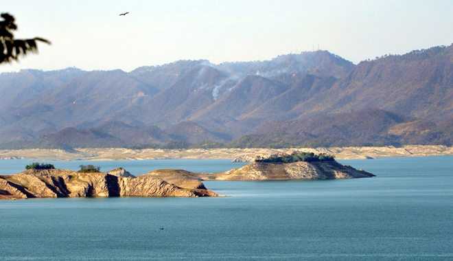Silt may have reduced Bhakra capacity by 15%
