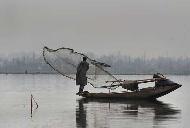 Frigid conditions in J&K, HP; icy winds dip mercury in plains