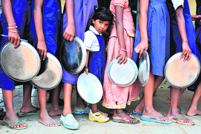 Portal to manage mid-day meal scheme launched : The Tribune India