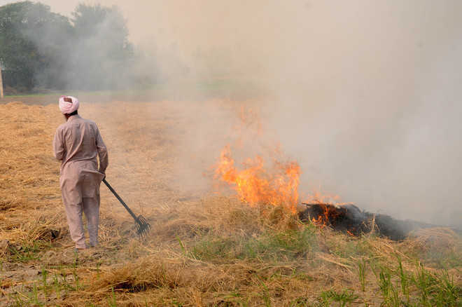 Govt approves project to tackle stubble burning in north India
