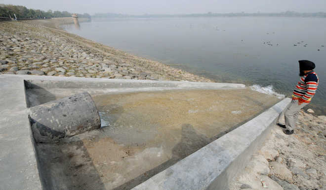 After supply from tubewells, water level rises in Sukhna Lake
