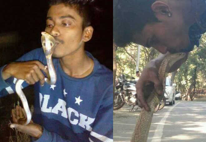 Snake fatally bites Navi Mumbai wildlife activist who kissed it