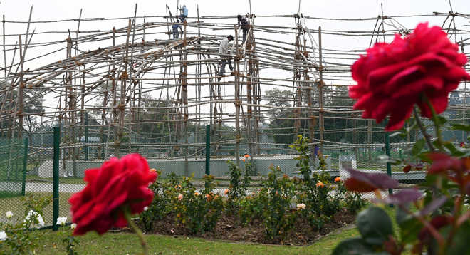 Many varieties will bloom only after Rose Festival, admits MC horticulture wing
