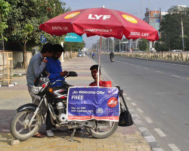 Telecom firm installs canopies along roads