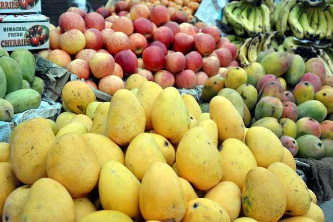 Sharp slump in fruit-vegetable exports prompts long-term remedies