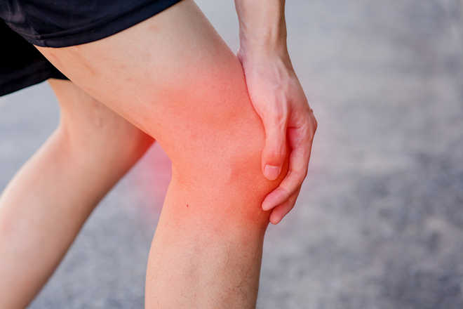 Online treatment may reduce chronic knee pain
