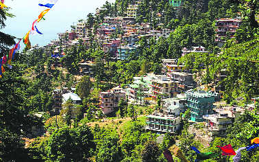 Smart City project: Company floated to speed up work in Dharamsala