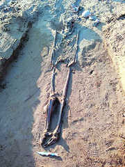 Harappan-era skeleton found in Rohtak village